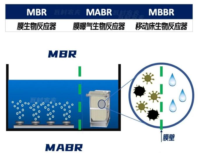 ��ҳ|MG������Ե��Ϸ�������